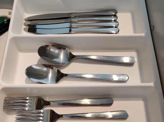 Panda فروتسواف